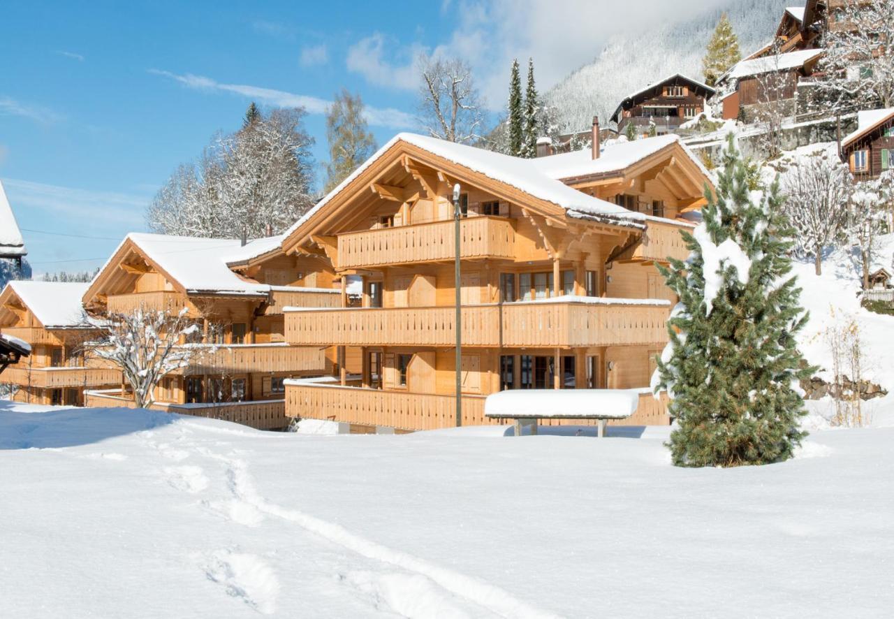 Panoramapark Soleil Chalet C 翁根 外观 照片