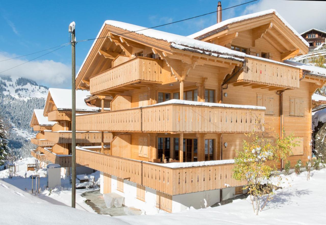 Panoramapark Soleil Chalet C 翁根 外观 照片