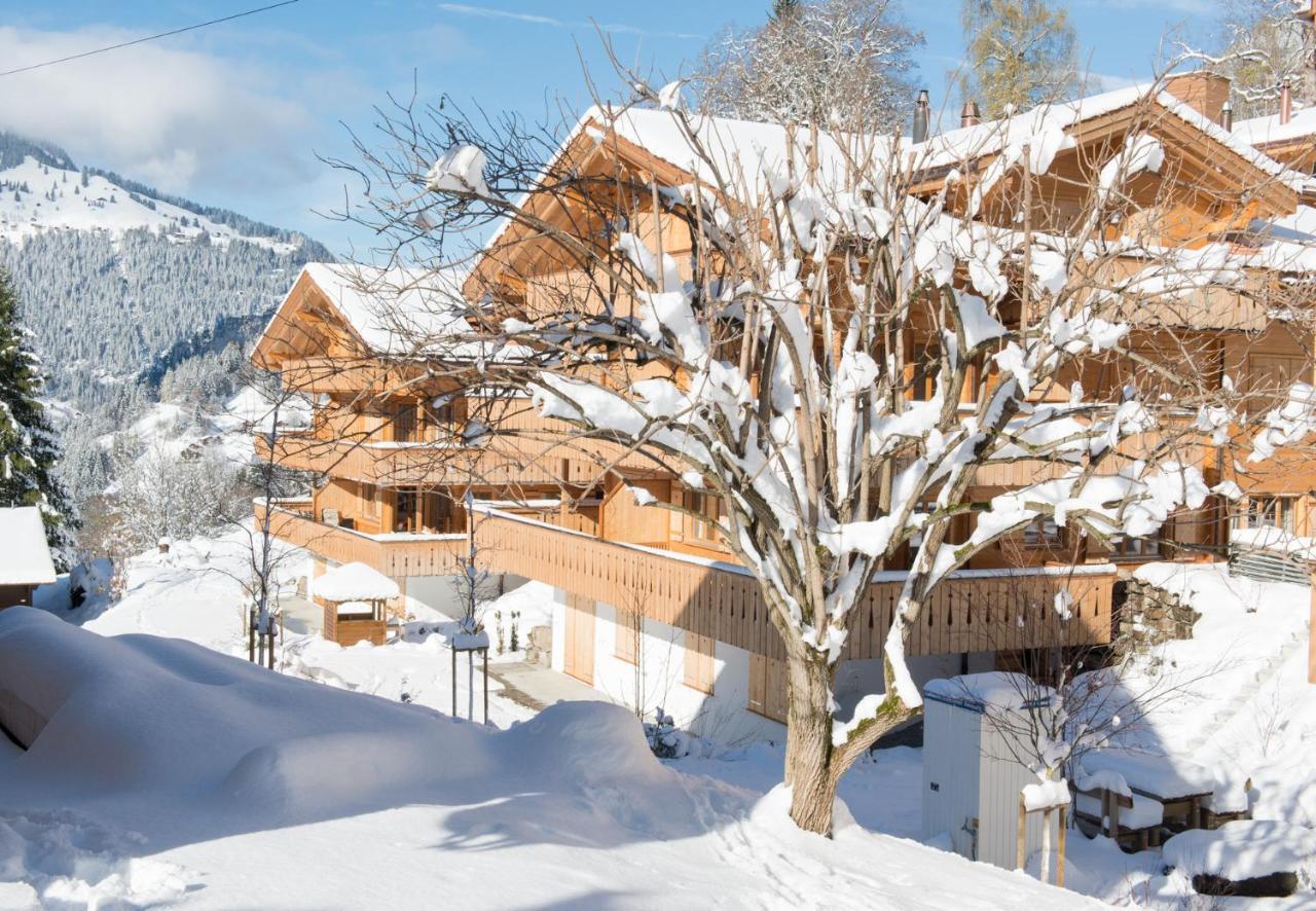 Panoramapark Soleil Chalet C 翁根 外观 照片