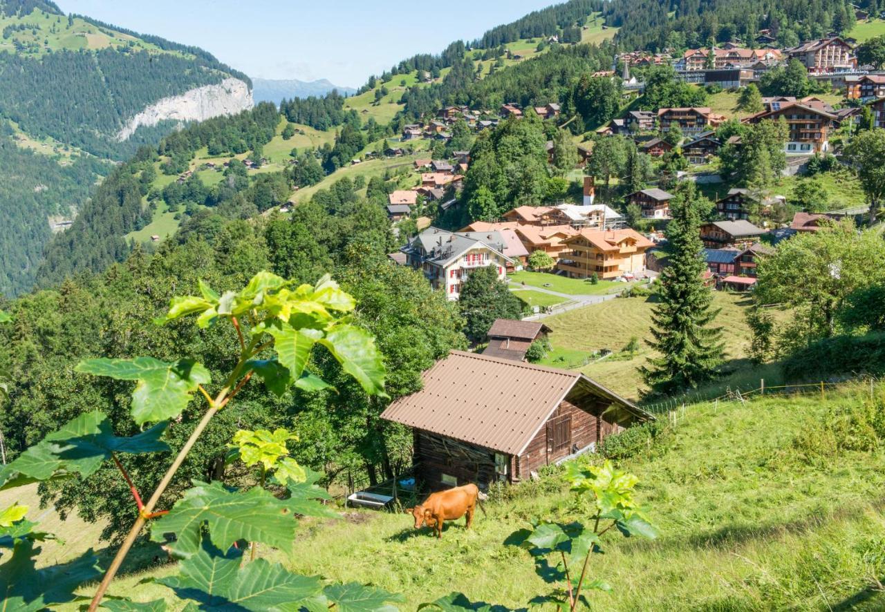 Panoramapark Soleil Chalet C 翁根 外观 照片