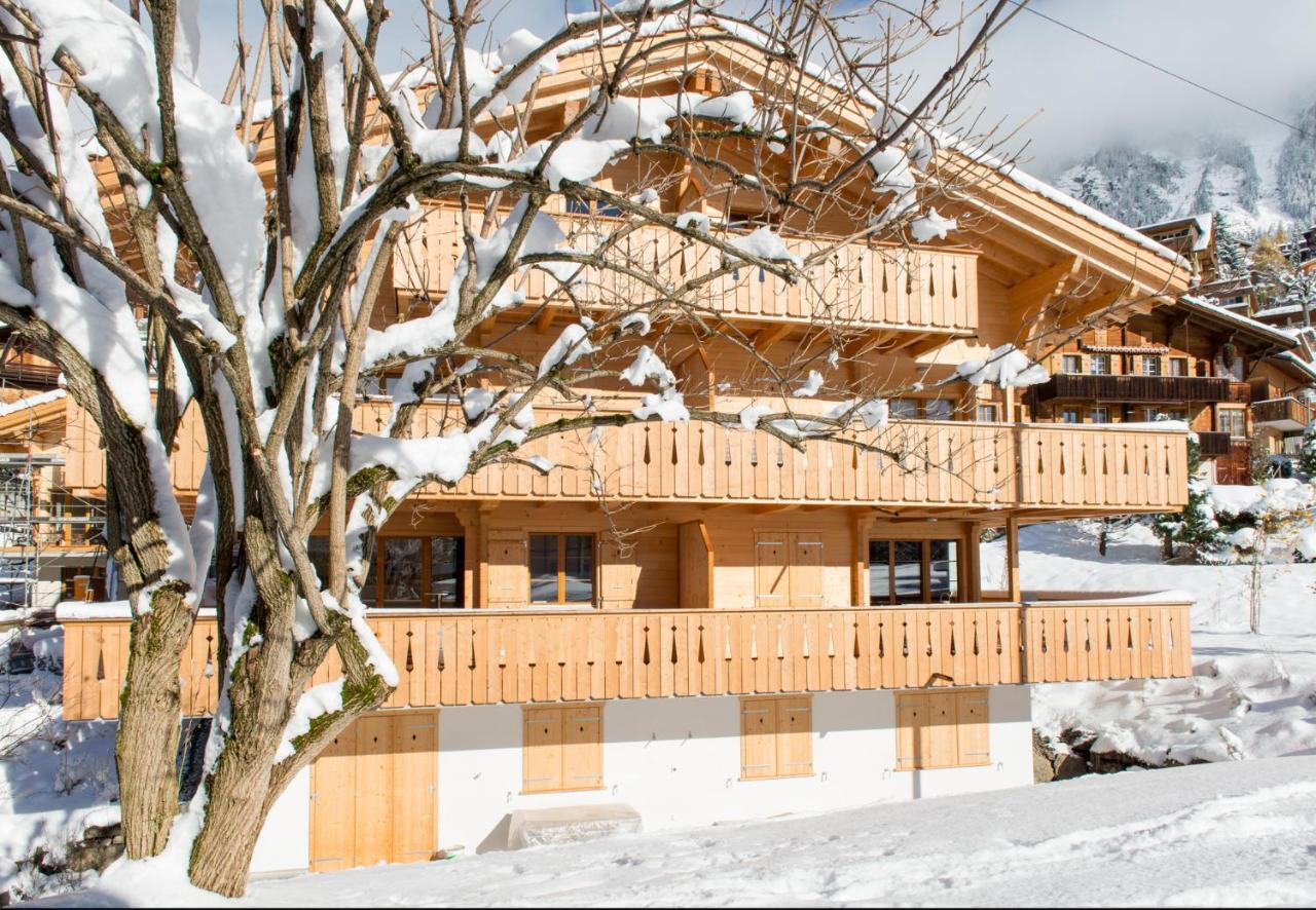 Panoramapark Soleil Chalet C 翁根 外观 照片