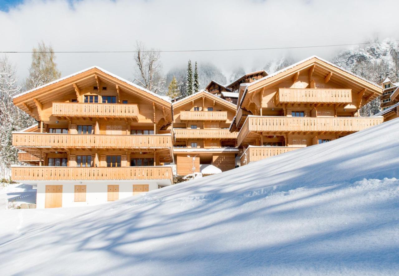 Panoramapark Soleil Chalet C 翁根 外观 照片