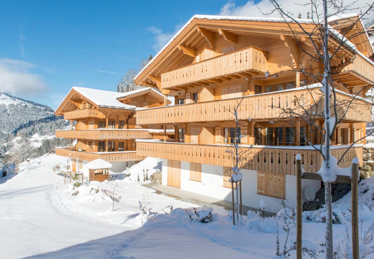Panoramapark Soleil Chalet C 翁根 外观 照片